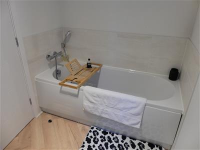 Picture 24
